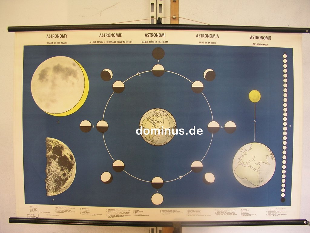 Astronomie-Die-Mondphasen-EP-Educational-Productions-Limited-P-in-Engl-NU167-102x66.jpg