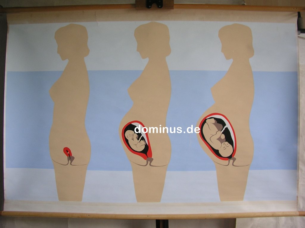 262-Sexualerziehung-fuer-6-12jaehrige-neues-Leben-waechst-im-Bauch-Karte5-Stockmann-140x96.jpg