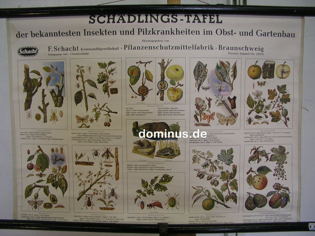 Schaedlings-Tafel-Schacht-FR31-65x46.jpg