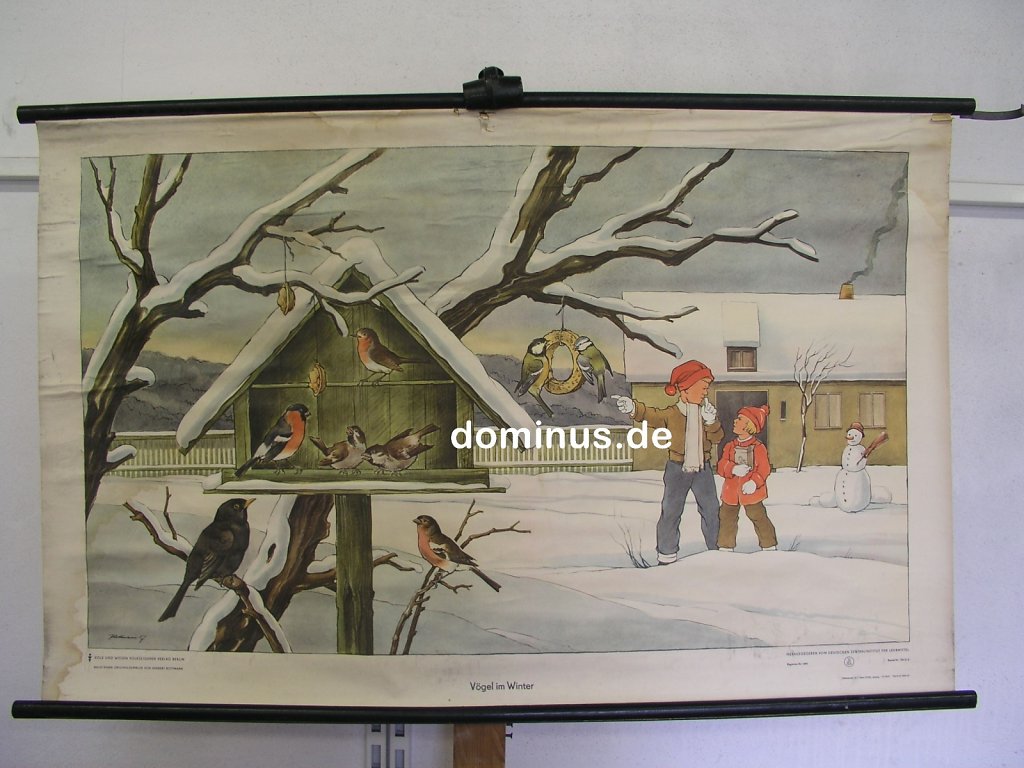 Voegel-im-Winter-VW-61-Wasserschaden-oben-rissig-NE32-117x74.jpg