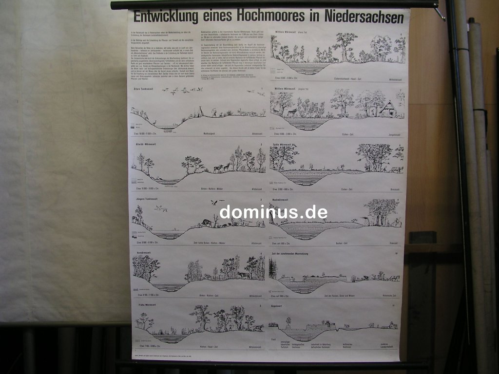 B102-Entwicklung-einen-Hochmoores-in-Niedersachsen-1A-71x91.jpg