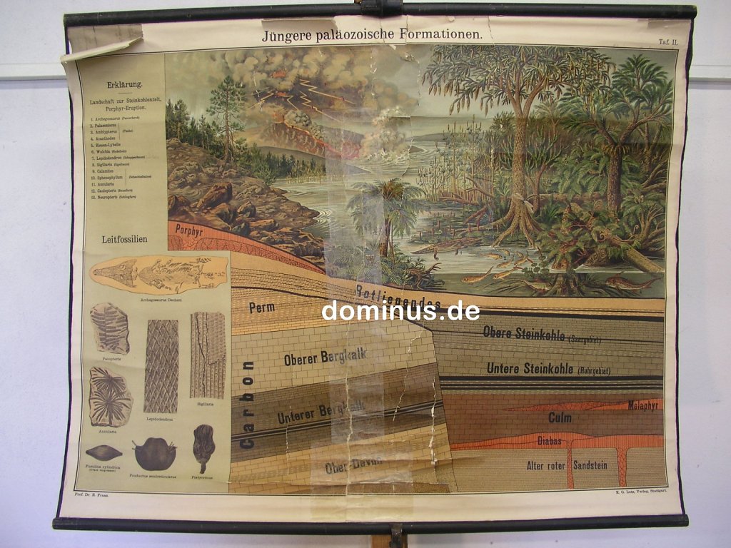 Juengere-palaeozonische-Formationen-T2-LutzStuttgart-Risse-Aufkl.jpg